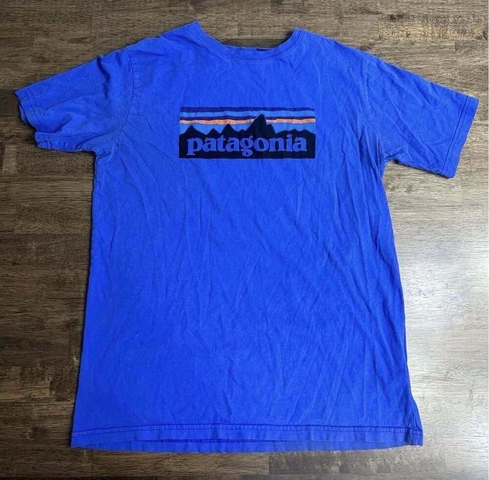 Patagonia Boys P-6 Logo Graphic T-Shirt Blue XXL 16-18